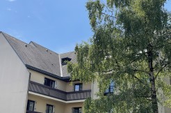 IMG_3952